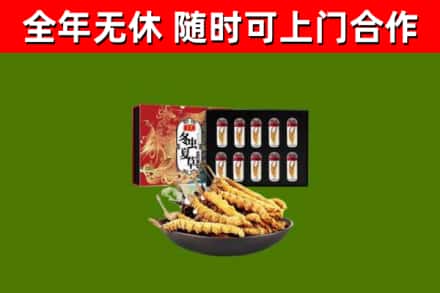 赤水回收冬虫夏草价格